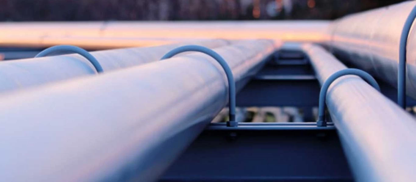 Κρήτη: «Σοβαρές ενδείξεις για πιθανή ύπαρξη κοιτασμάτων φυσικού αερίου - Πρέπει να ενθαρρυνθούν επενδυτές»